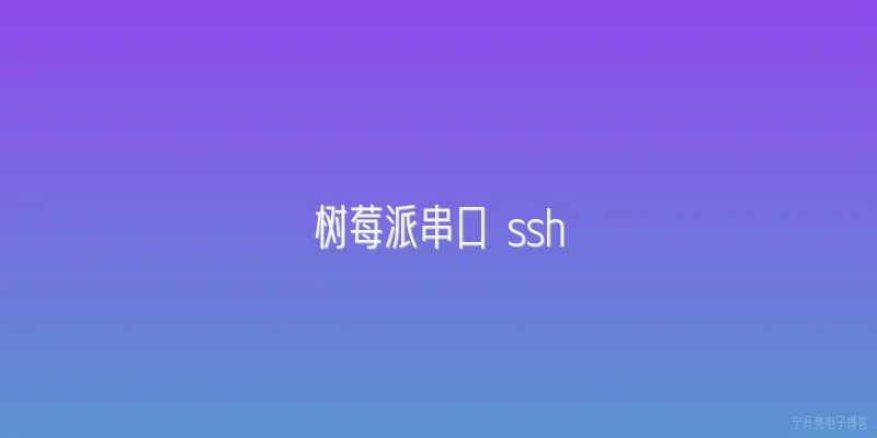 树莓派串口 ssh