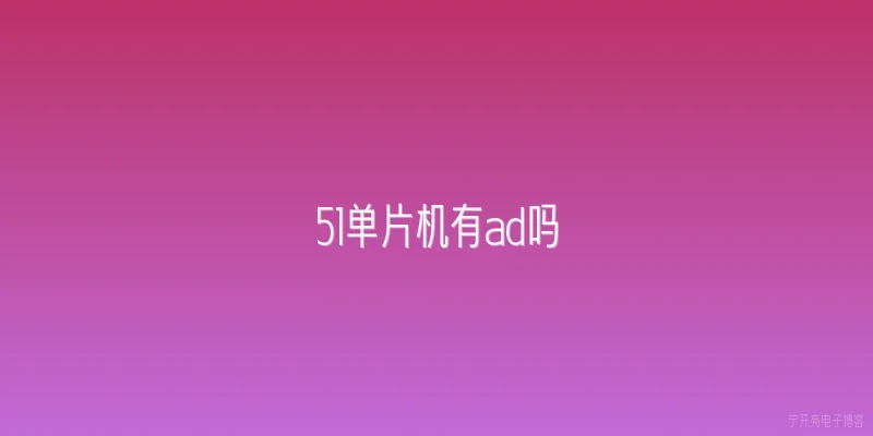 51单片机有ad吗