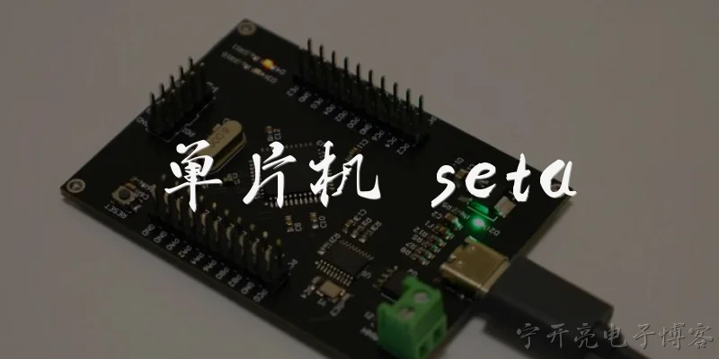 单片机 seta:单片机中SETA是什么意思？
