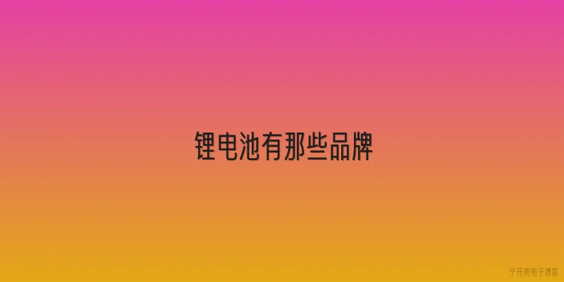 锂电池有那些品牌