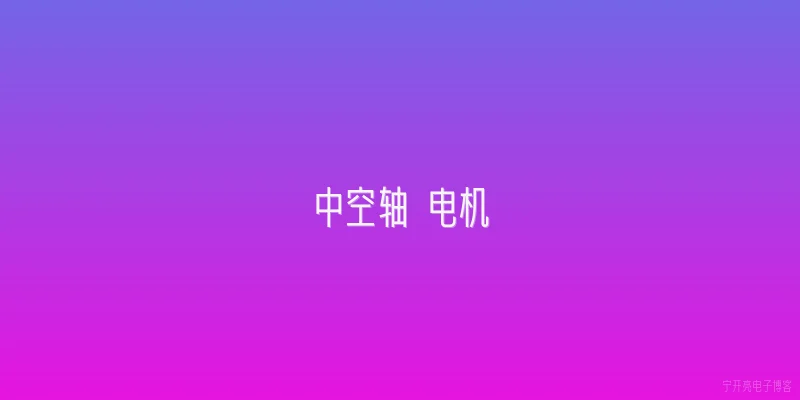 中空轴 电机