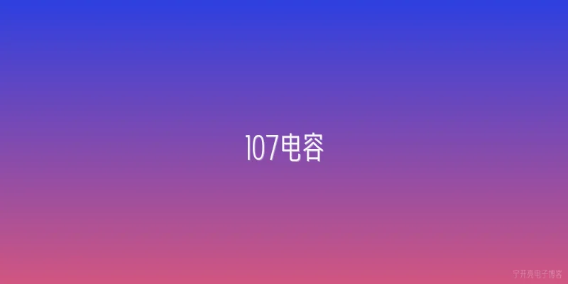 107电容