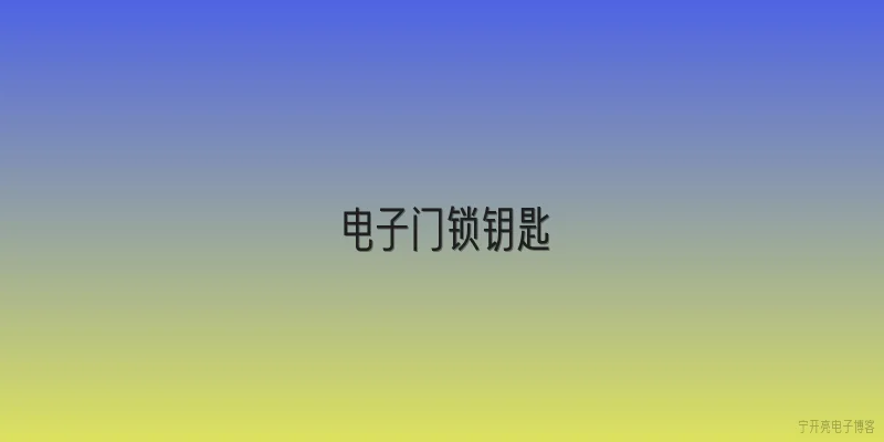 电子门锁钥匙