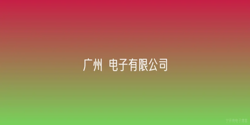 广州 电子有限公司