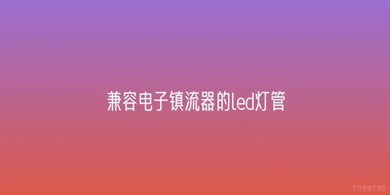 兼容电子镇流器的led灯管