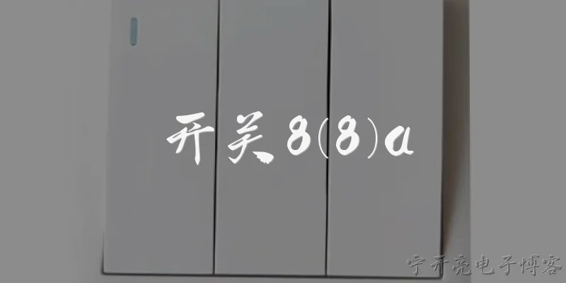 开关8(8)a:开关8(8)a在电气工程中代表什么？
