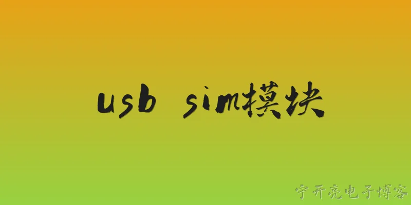 usb sim模块:什么是USB SIM模块？ - 2026最新模块问答知识盘点大全