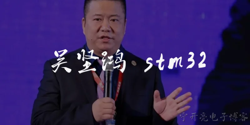 吴坚鸿 stm32:吴坚鸿在STM32领域有哪些主要贡献？