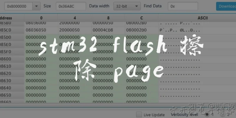 STM32 flash erase page