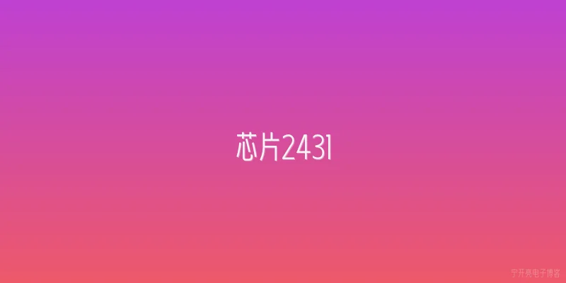 芯片2431